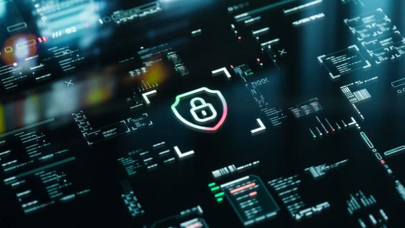 永登县软件开发公司
